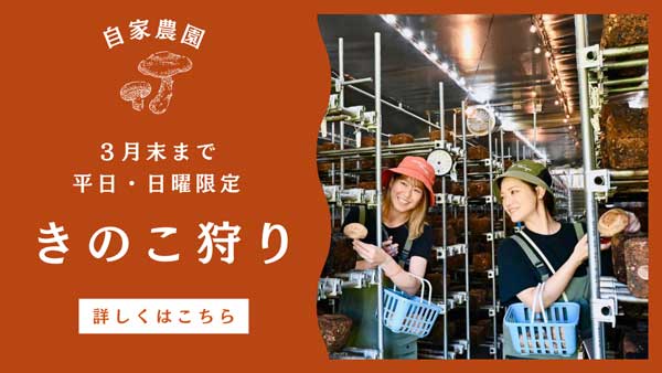 しいたけ狩りバナー